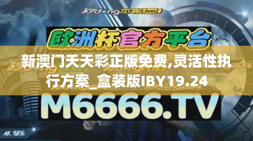 新澳門天天彩正版免費(fèi),靈活性執(zhí)行方案_盒裝版IBY19.24