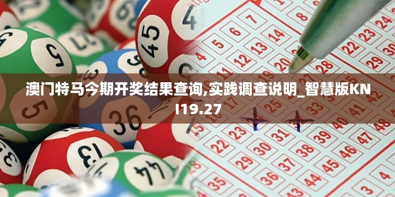 澳門特馬今期開獎結果查詢,實踐調查說明_智慧版KNI19.27