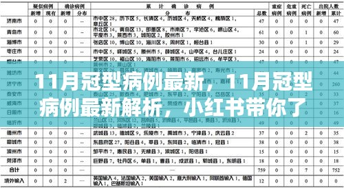 小紅書解析，最新冠型病例動態與應對策略揭秘