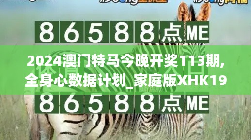 2024澳門特馬今晚開獎113期,全身心數據計劃_家庭版XHK19.37
