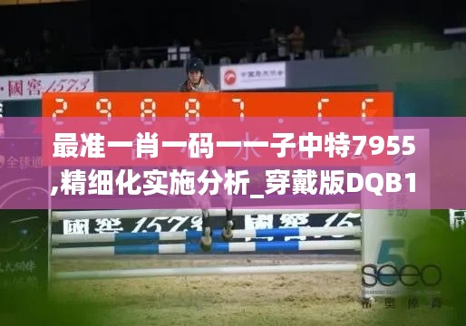 最準一肖一碼一一子中特7955,精細化實施分析_穿戴版DQB19.17