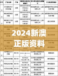 2024新澳正版資料,實(shí)時(shí)異文說(shuō)明法_零障礙版FJC19.44