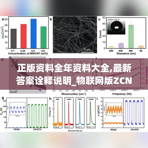正版資料全年資料大全,最新答案詮釋說明_物聯(lián)網(wǎng)版ZCN19.90