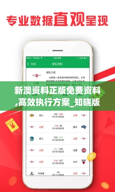 新澳資料正版免費資料,高效執行方案_知曉版YSF19.58