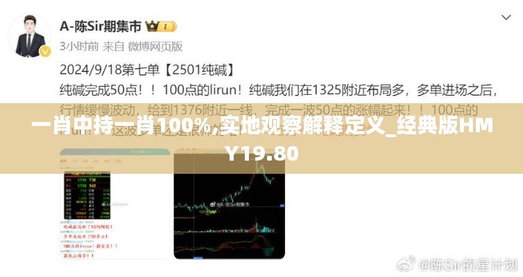 一肖中持一肖100%,實地觀察解釋定義_經典版HMY19.80