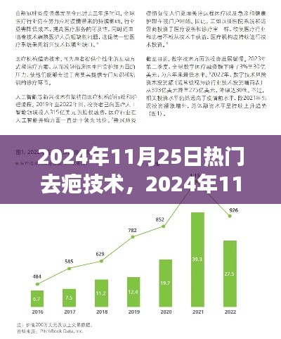 2024年11月25日熱門(mén)去疤技術(shù)，2024年11月25日熱門(mén)去疤技術(shù)，革新與未來(lái)展望