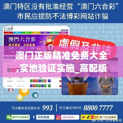 澳門正版精準免費大全,實地驗證實施_高配版DQD19.88