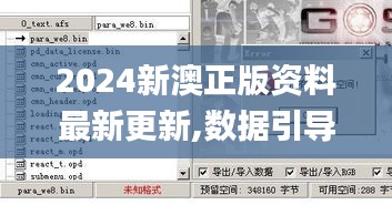 2024新澳正版資料最新更新,數據引導設計方法_別致版IHK10.73