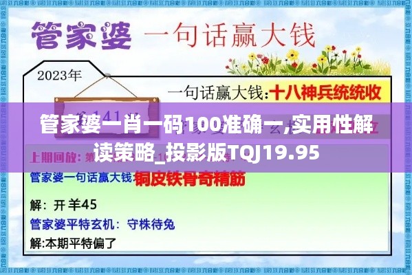 管家婆一肖一碼100準確一,實用性解讀策略_投影版TQJ19.95