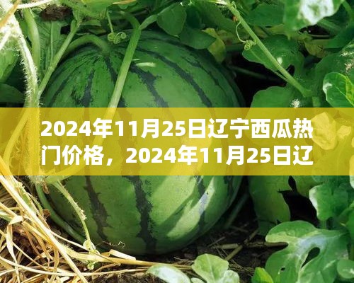 遼寧西瓜熱門價格解析，觀點闡述與趨勢探析（2024年11月25日）