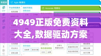 4949正版免費資料大全,數據驅動方案_移動版QJE19.17