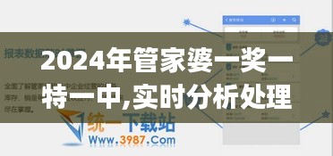 2024年管家婆一獎一特一中,實時分析處理_觸感版BVL19.82