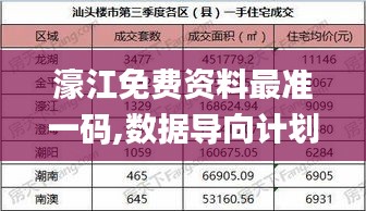 濠江免費資料最準一碼,數據導向計劃_精致版QHJ19.66