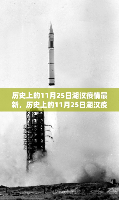 歷史上的11月25日湖漢疫情最新進(jìn)展及多方觀點(diǎn)探討