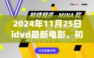 初學(xué)者與進(jìn)階用戶通用指南，最新IDVD電影觀看詳細(xì)步驟及推薦（2024年11月25日）