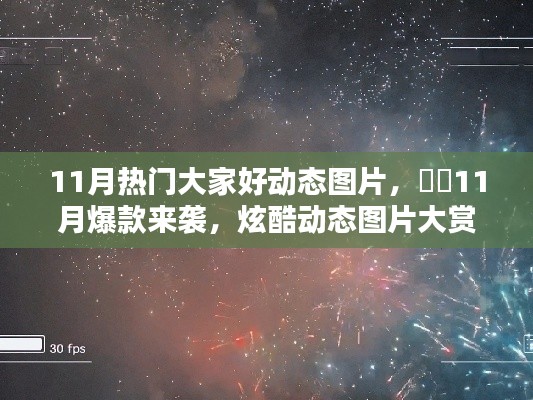 11月爆款炫酷動(dòng)態(tài)圖片大賞，小紅書獨(dú)家分享，熱門動(dòng)態(tài)美圖一網(wǎng)打盡