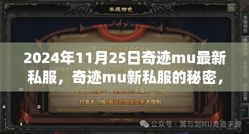 奇跡mu新私服背后的犯罪秘密，游戲樂(lè)園隱藏的法律風(fēng)險(xiǎn)。