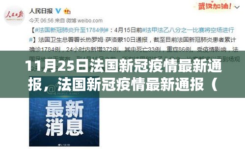 法國新冠疫情最新通報（日期標注，11月25日更新）