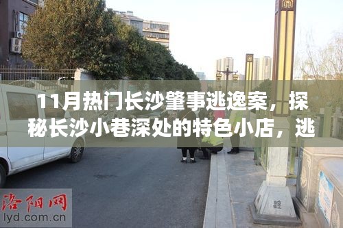 長沙肇事逃逸案背后的故事，小巷特色小店與神秘風情探秘