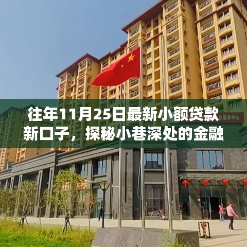 探秘小額貸款新口子特色小店，小巷深處的金融新風尚（歷年11月25日最新資訊）