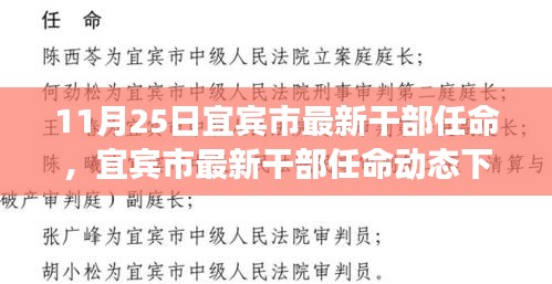 宜賓市最新干部任命動態及治理效能探討
