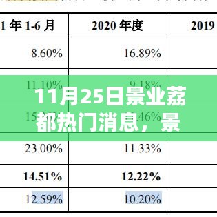 揭秘景業荔都熱門消息三大要點，揭秘焦點、揭秘內幕與揭秘亮點（11月25日）