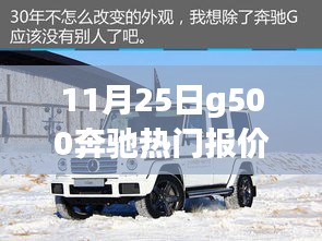 11月25日g500奔馳熱門報價，11月25日G500奔馳熱門報價下的購車決策探討