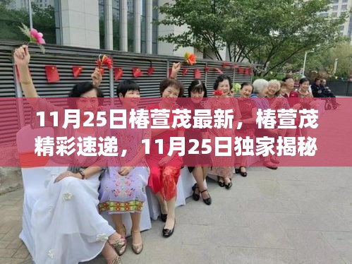 11月25日獨家揭秘，椿萱茂生活盛宴精彩速遞