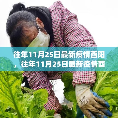 多維度視角下的觀察與觀點闡述，往年11月25日酉陽最新疫情分析