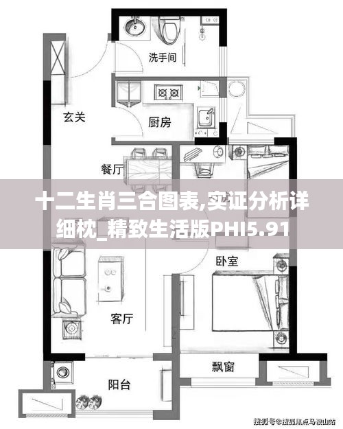 十二生肖三合圖表,實證分析詳細枕_精致生活版PHI5.91