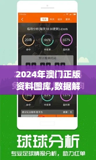 2024年澳門正版資料圖庫,數據解釋說明規劃_L版OBI5.71