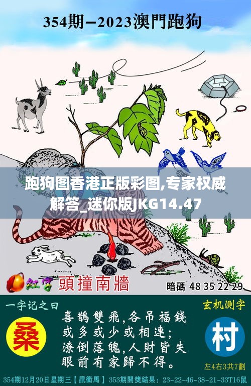 跑狗圖香港正版彩圖,專家權威解答_迷你版JKG14.47
