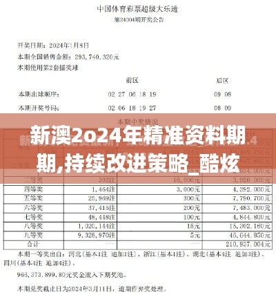 新澳2o24年精準資料期期,持續改進策略_酷炫版RSR5.18