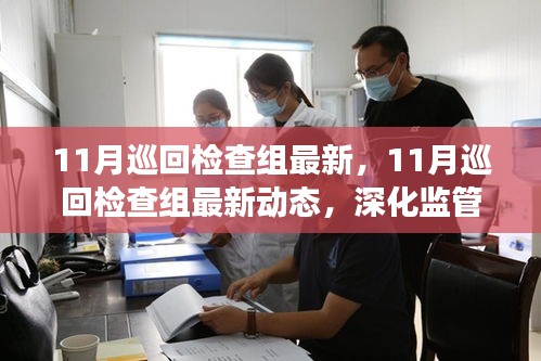 11月巡回檢查組最新動態，深化監管，助推各領域穩健發展