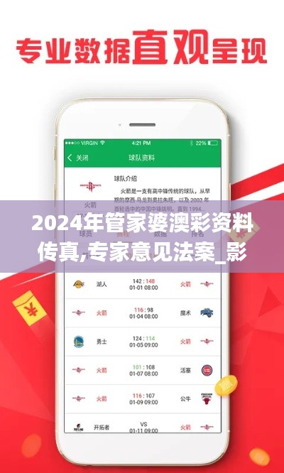 2024年管家婆澳彩資料傳真,專家意見法案_影像處理版DOT14.98