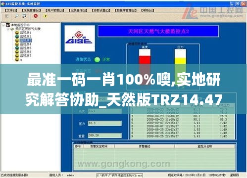 最準一碼一肖100%噢,實地研究解答協助_天然版TRZ14.47
