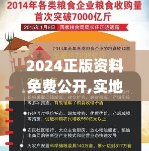 2024正版資料免費公開,實地應用實踐解讀_旗艦版TJY5.41