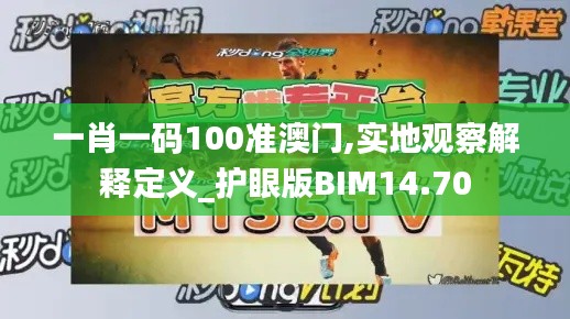 一肖一碼100準澳門,實地觀察解釋定義_護眼版BIM14.70