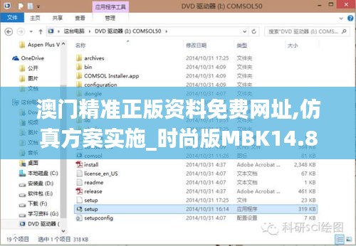 澳門精準正版資料免費網址,仿真方案實施_時尚版MBK14.88