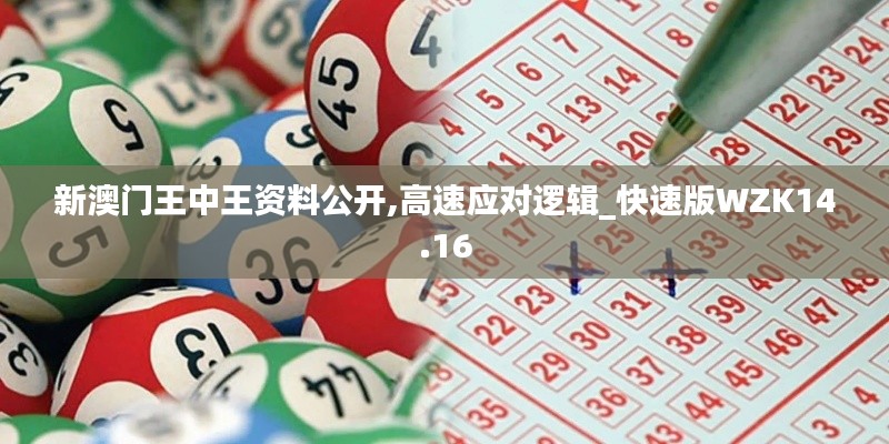 新澳門王中王資料公開,高速應對邏輯_快速版WZK14.16