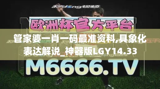 管家婆一肖一碼最準資科,具象化表達解說_神器版LGY14.33