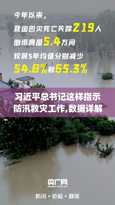 習近平總書記這樣指示防汛救災工作,數據詳解說明_跨界版LXI14.47