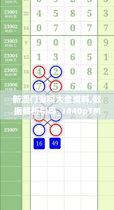 新澳門資料大全資料,數據解析引導_1440pTMK14.69