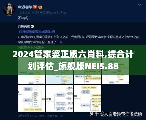 2024管家婆正版六肖料,綜合計劃評估_旗艦版NEI5.88
