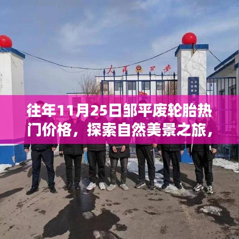 鄒平廢輪胎價格動態與探索自然美景之旅，寧靜與平和的尋覓