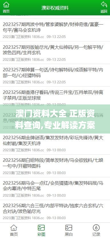 澳門資料大全 正版資料查詢,專業(yè)解讀方案實施_傳達(dá)版YMX14.64