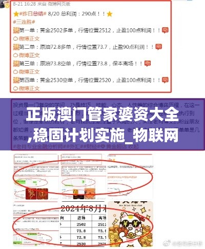 正版澳門管家婆資大全,穩固計劃實施_物聯網版ROI5.63