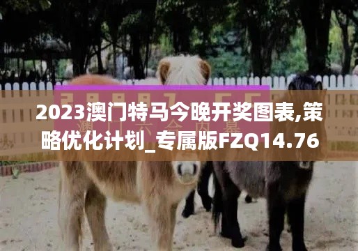 2023澳門特馬今晚開獎圖表,策略優化計劃_專屬版FZQ14.76