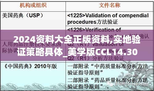 2024資料大全正版資料,實地驗證策略具體_美學版CCL14.30