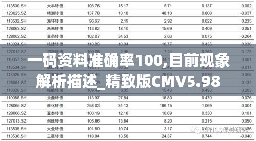 一碼資料準確率100,目前現象解析描述_精致版CMV5.98